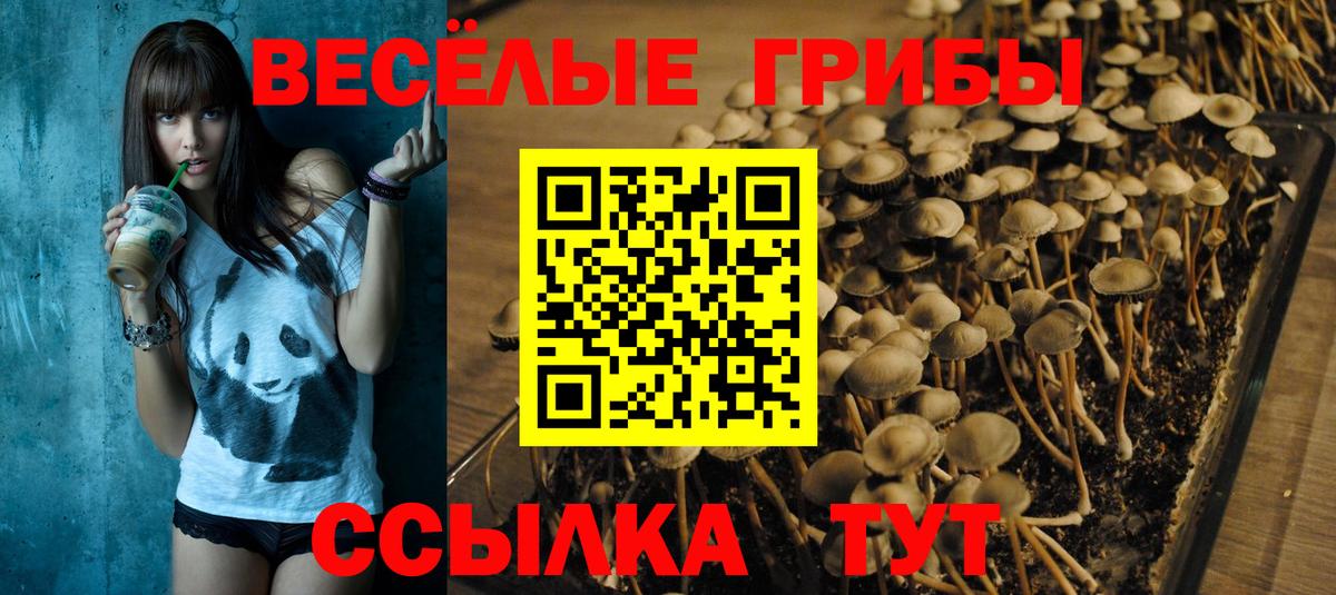 Псилоцибиновые грибы мицелий  Вход с VPN  Галлюциногенные грибы мицелий  Похвистнево 