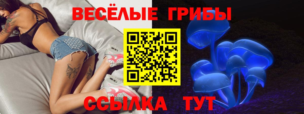 Галлюциногенные грибы Cubensis Похвистнево